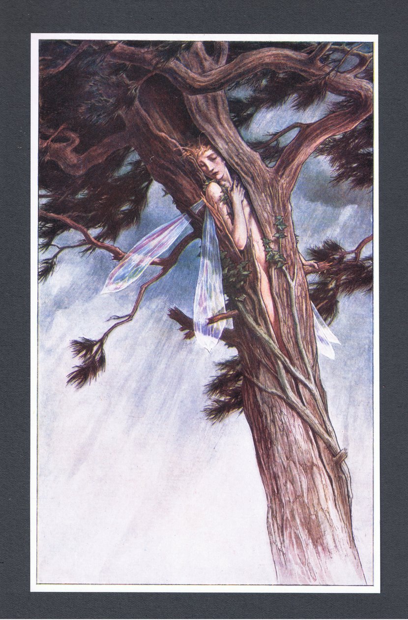 Hon spärrade in dig, med hjälp av sina mest kraftfulla predikanter och i sitt mest oförlåtliga raseri, i en kluven tall, illustration från The Tempest, 1908 av Paul Vincent Woodroffe
