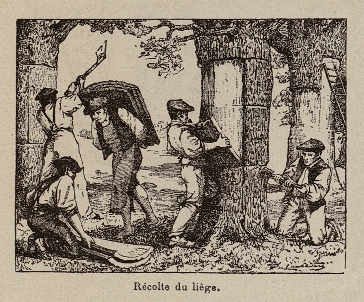  av Paul de Laubadere