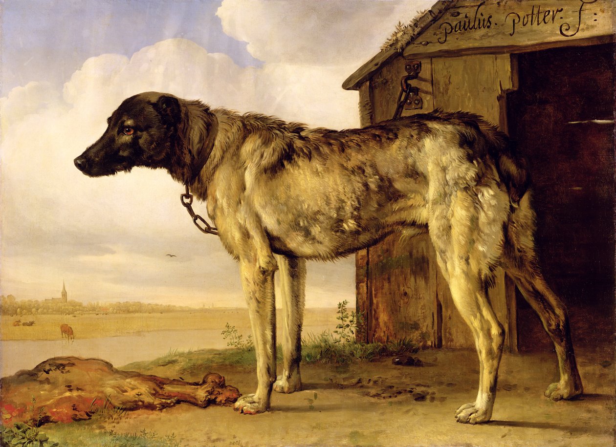 Hund på en kedja, 1653-4 av Paulus Potter
