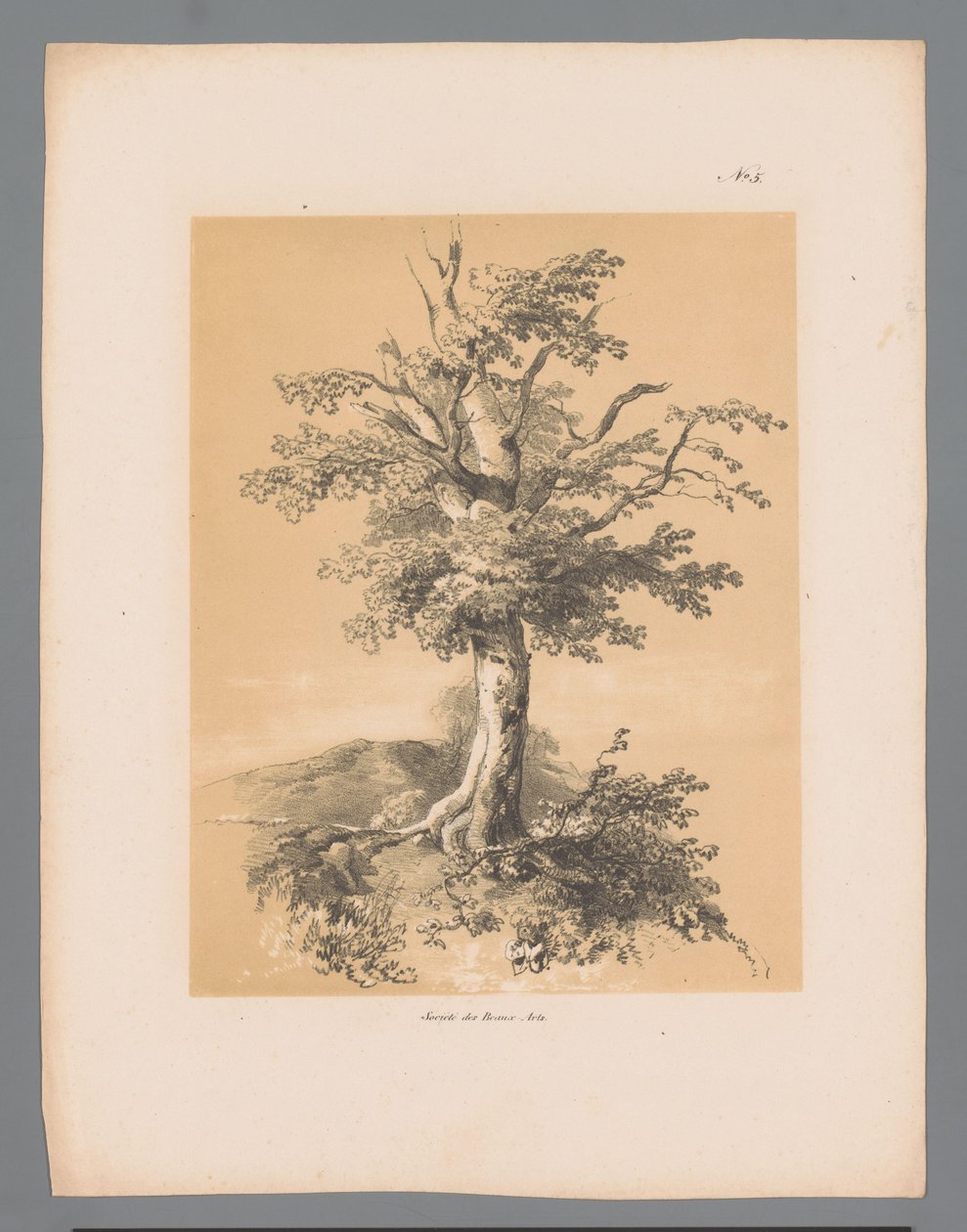 Bom Pittoreska ansikten av Paulus Lauters (serietitel) Etrennes pittoresques pour 1839, av Lauters (serietitel) av Paulus Lauters