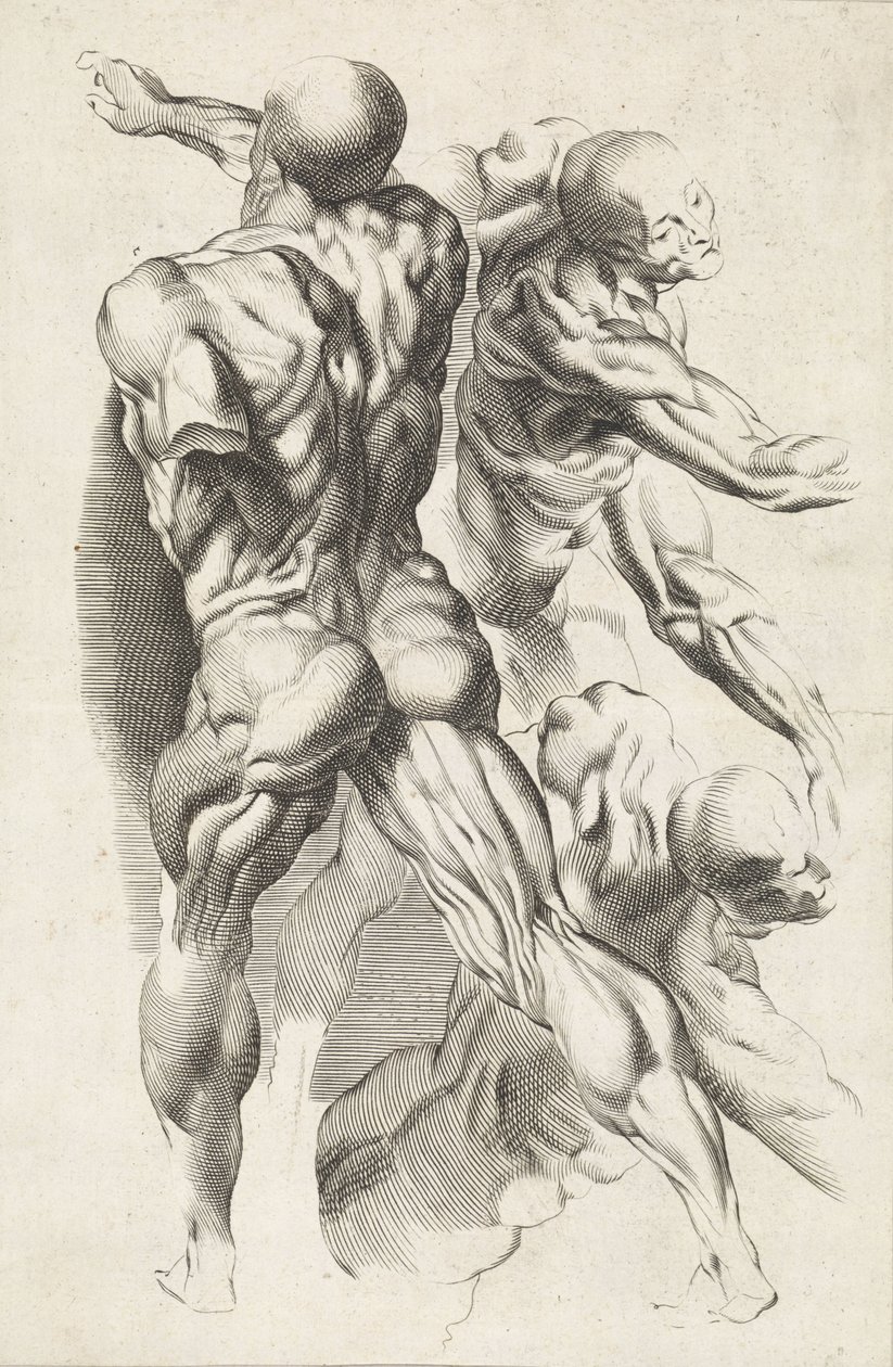 Anatomisk studie av tre figurer med utsträckta armar Ritboken av Peter Paul Rubens (serietitel) av Paulus Pontius