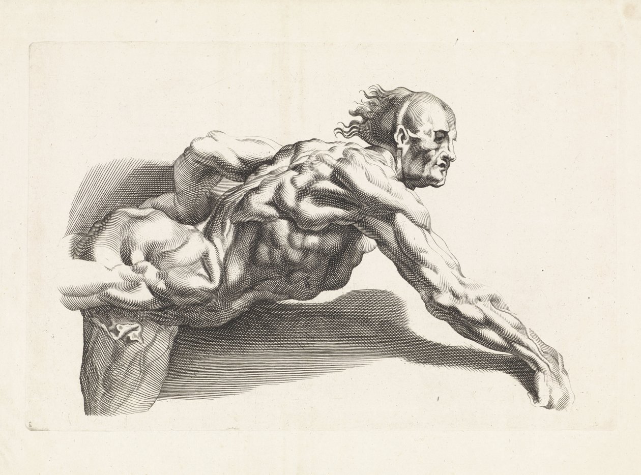 Anatomisk studie av lutande människa Ritboken av Peter Paul Rubens (serietitel) av Paulus Pontius