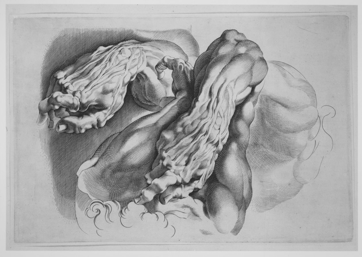 Tre studier av Écorchés, efter 1640., efter 1640. av Paulus Pontius