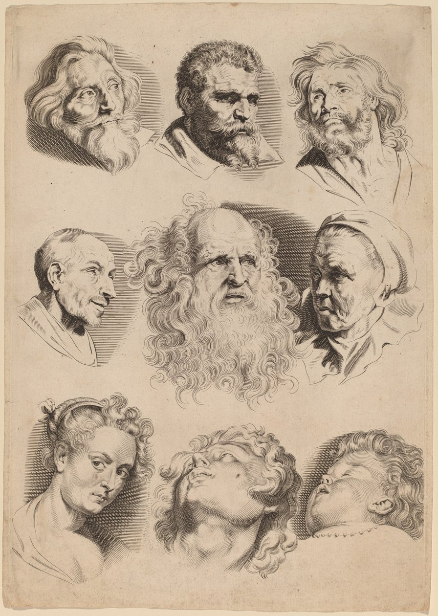 Nio huvuden av Paulus Pontius after Sir Peter Paul Rubens