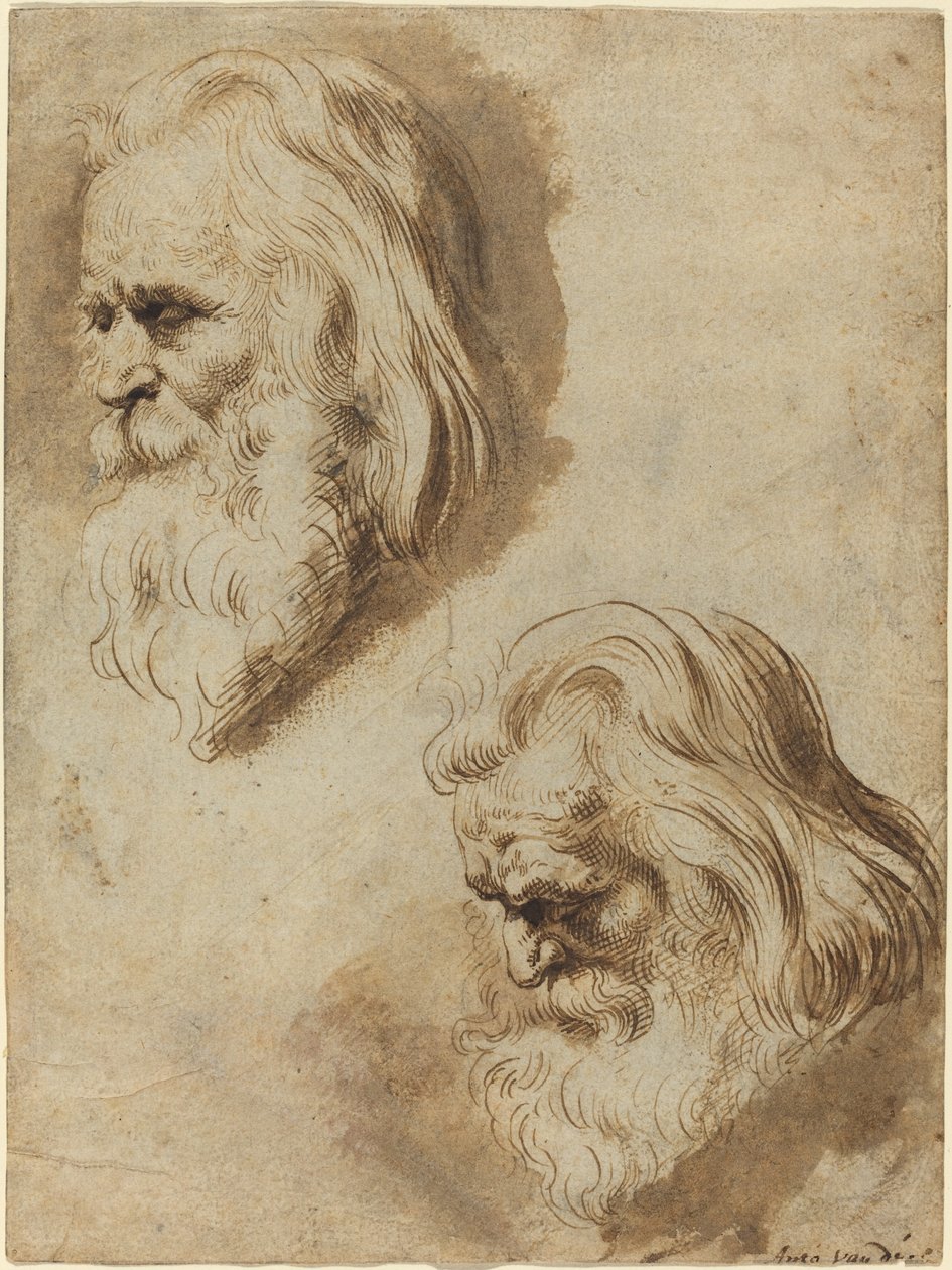 Två studier av en äldre mans huvud av Paulus Pontius after Sir Peter Paul Rubens
