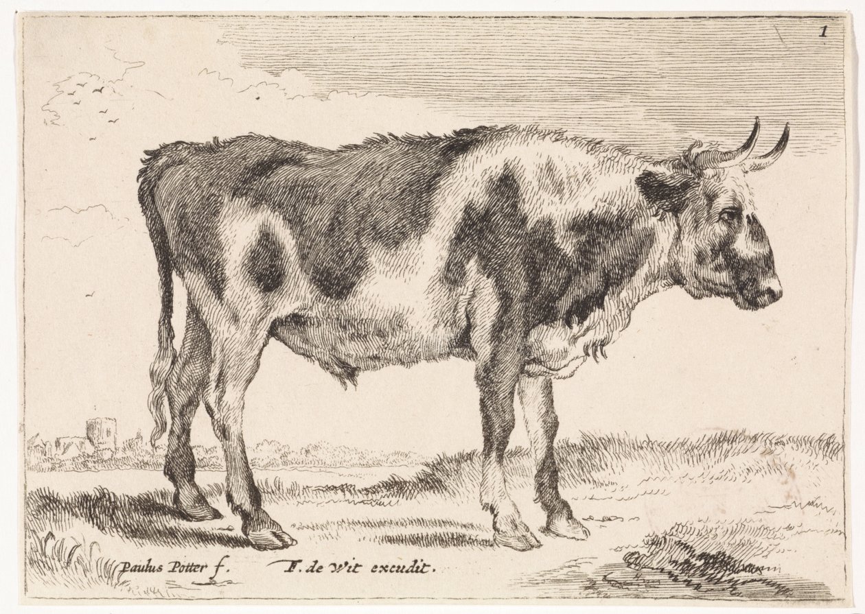 Fläckig oxe Oxar and Cows (serietitel) av Paulus Potter (rejected attribution)