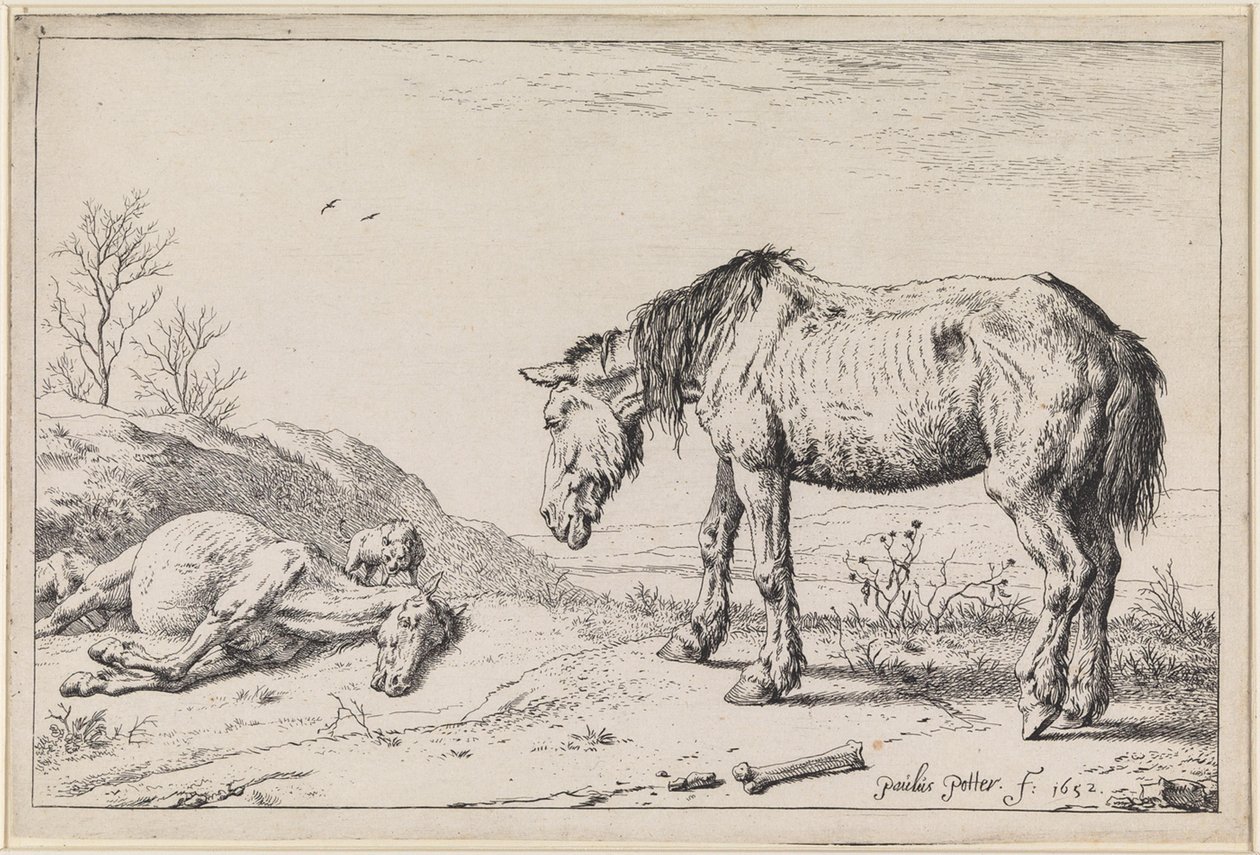 Utslitna hästar av Paulus Potter