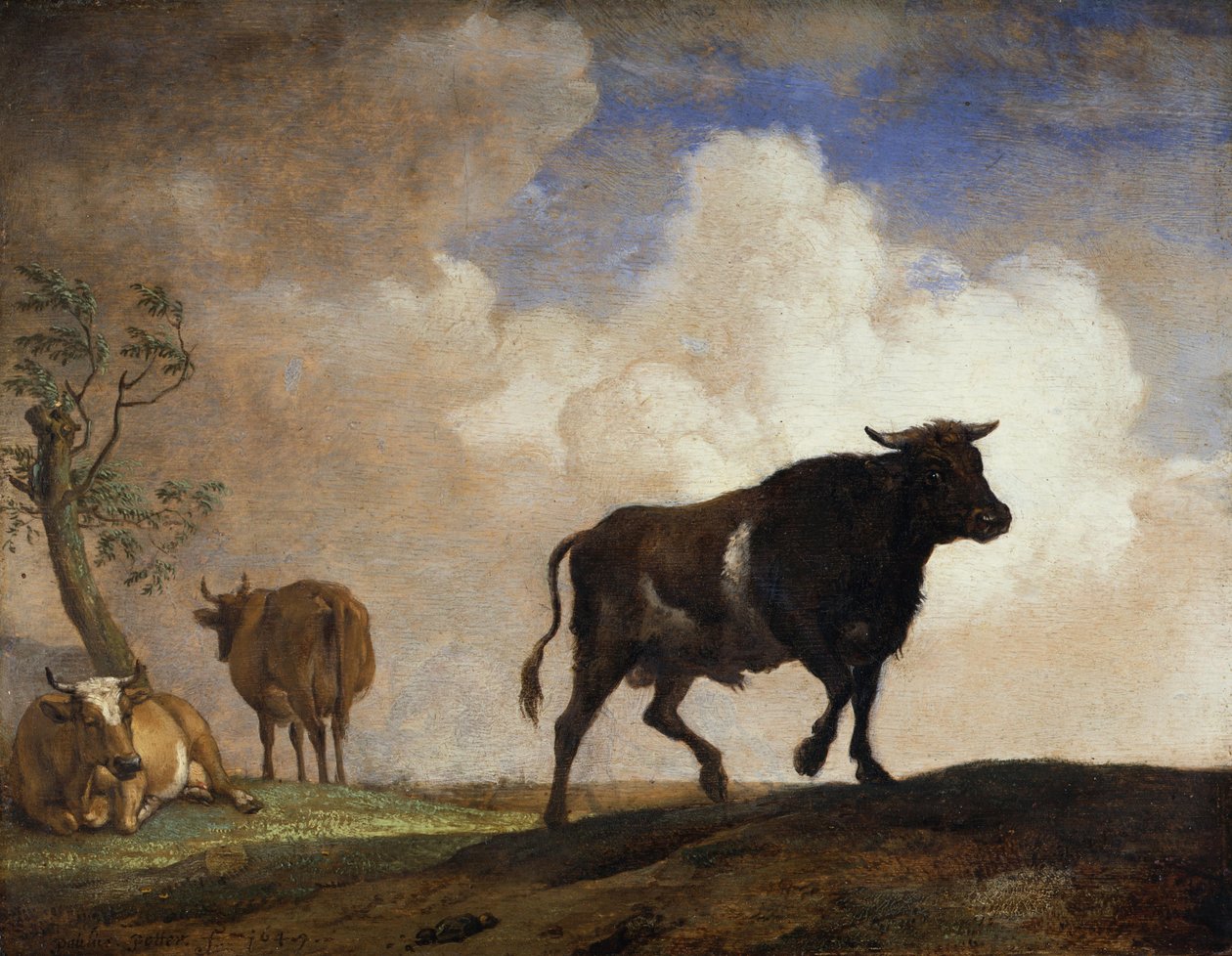 Tjuren av Paulus Potter