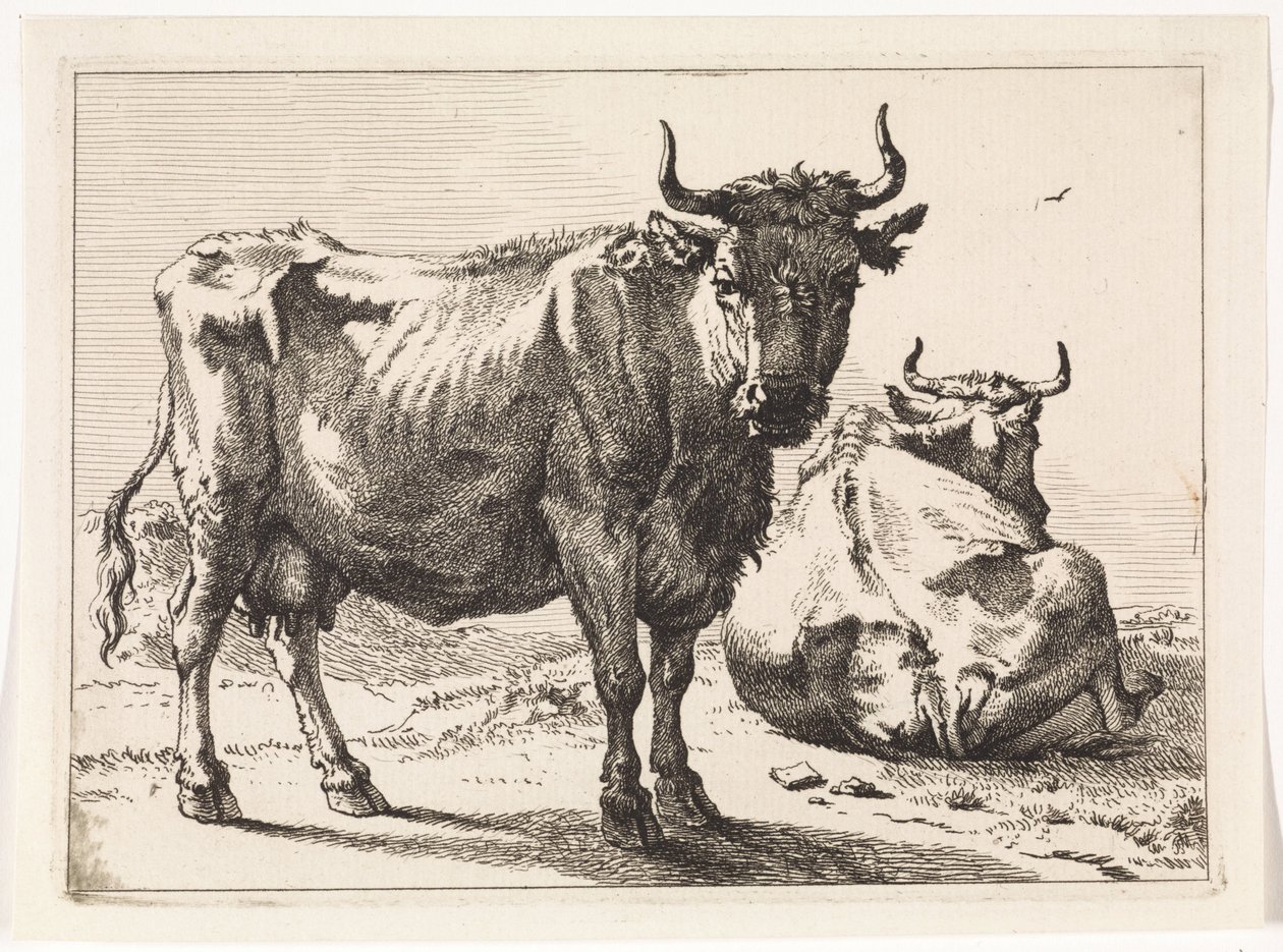 En stående och en liggande ko The Bullen-häftet (serietitel) av Paulus Potter