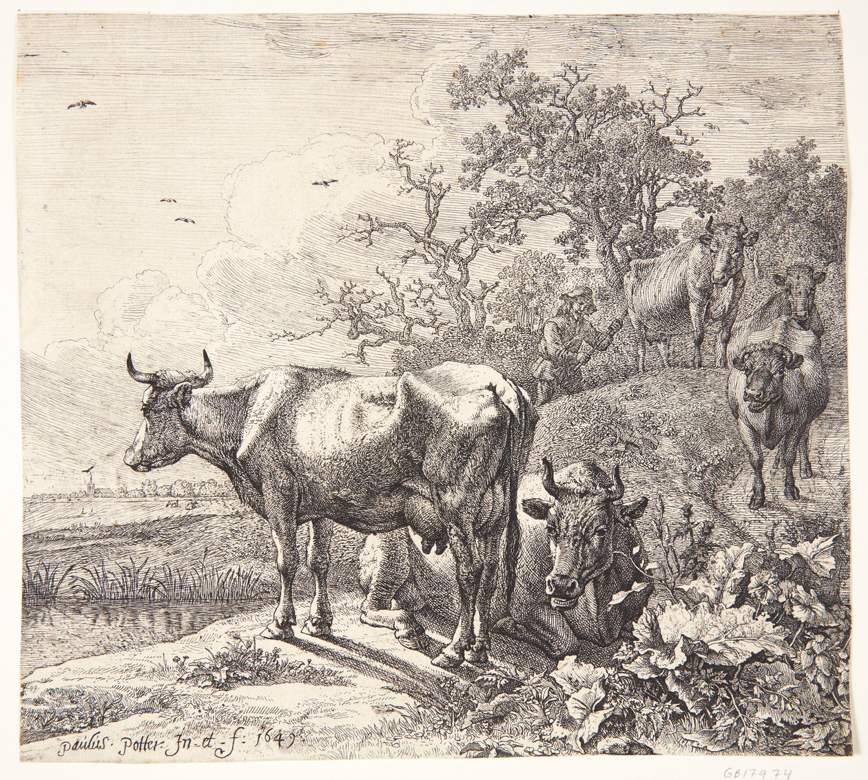 Kohyrden av Paulus Potter