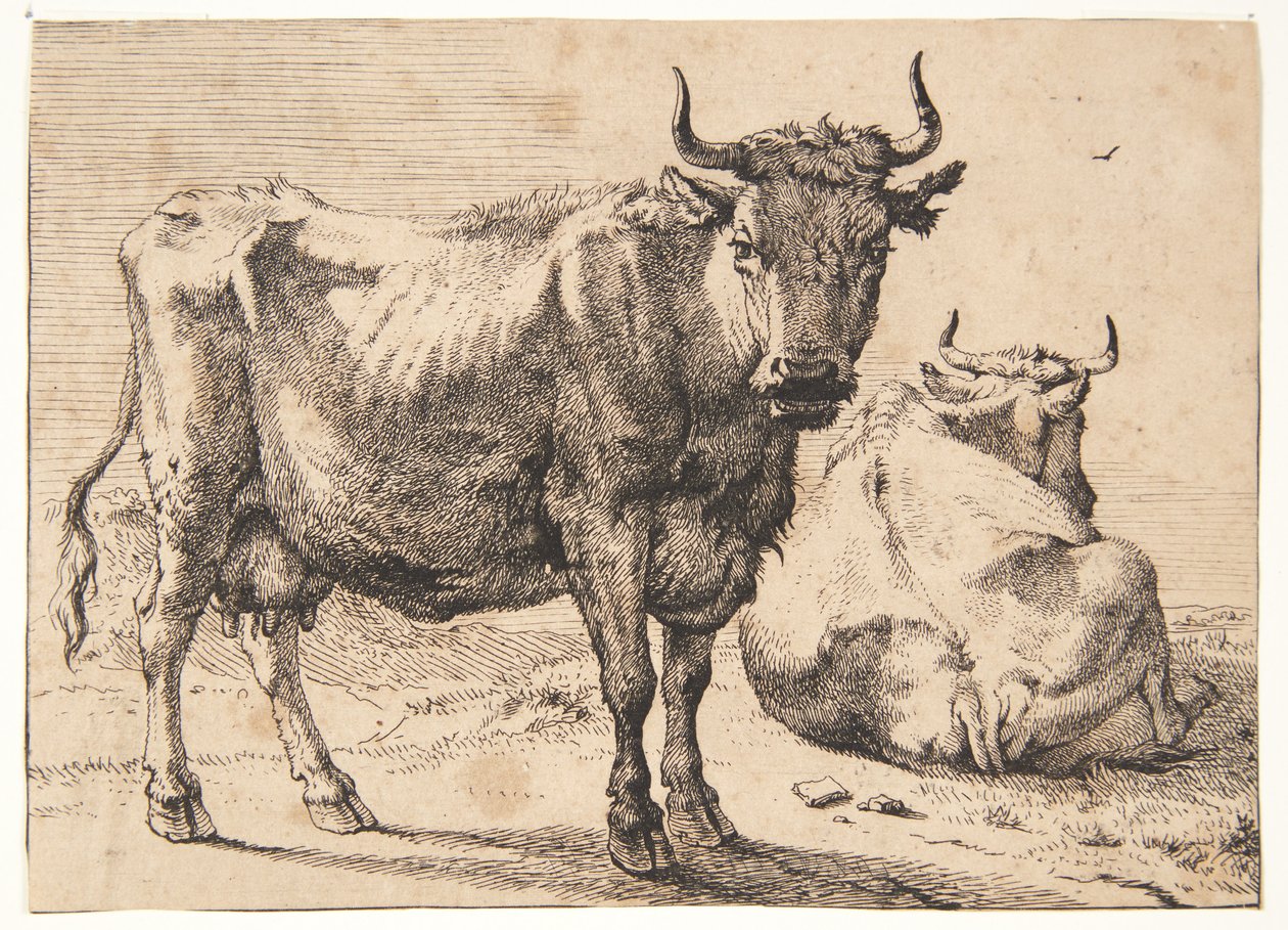 Stående och liggande ko av Paulus Potter