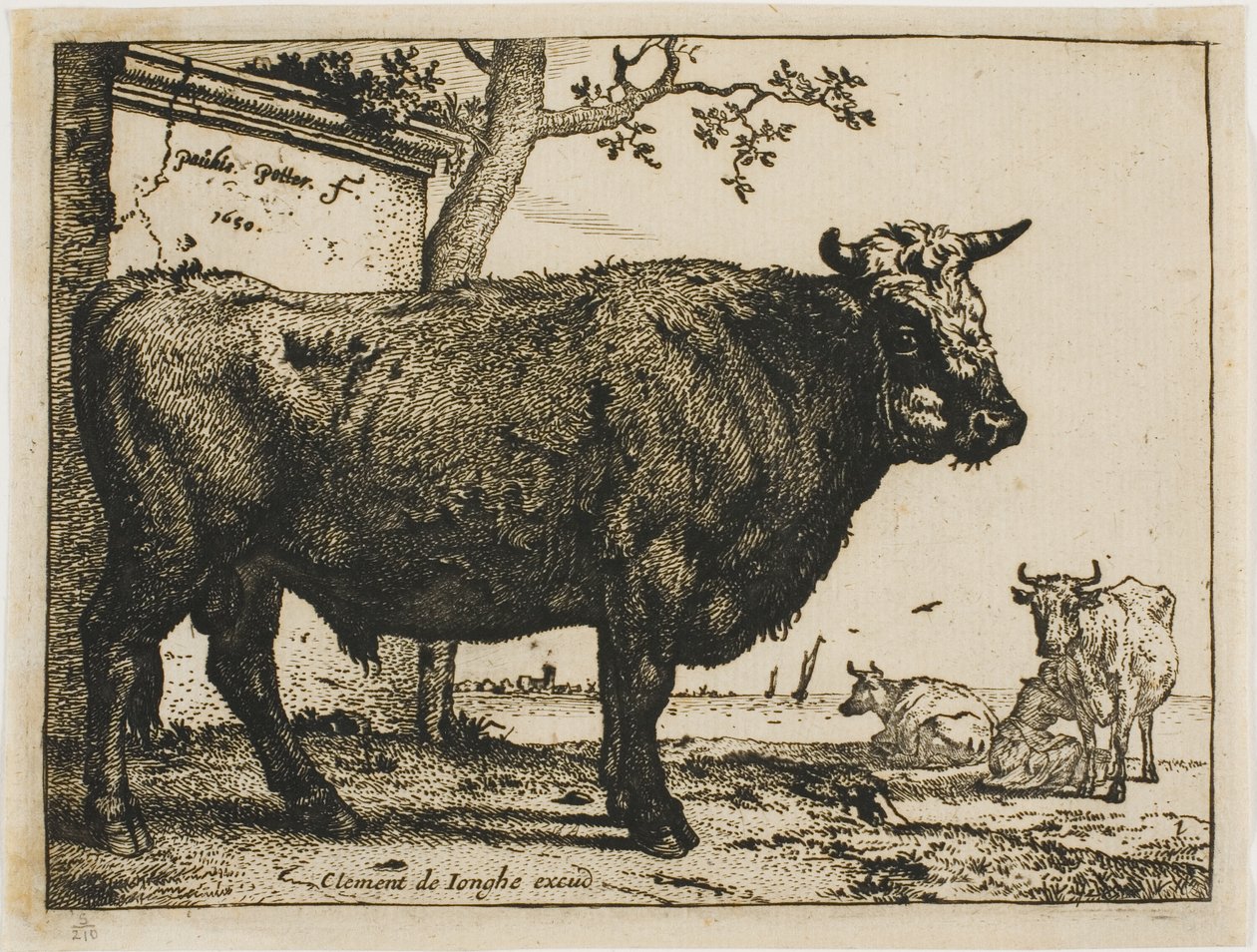Tjuren av Paulus Potter