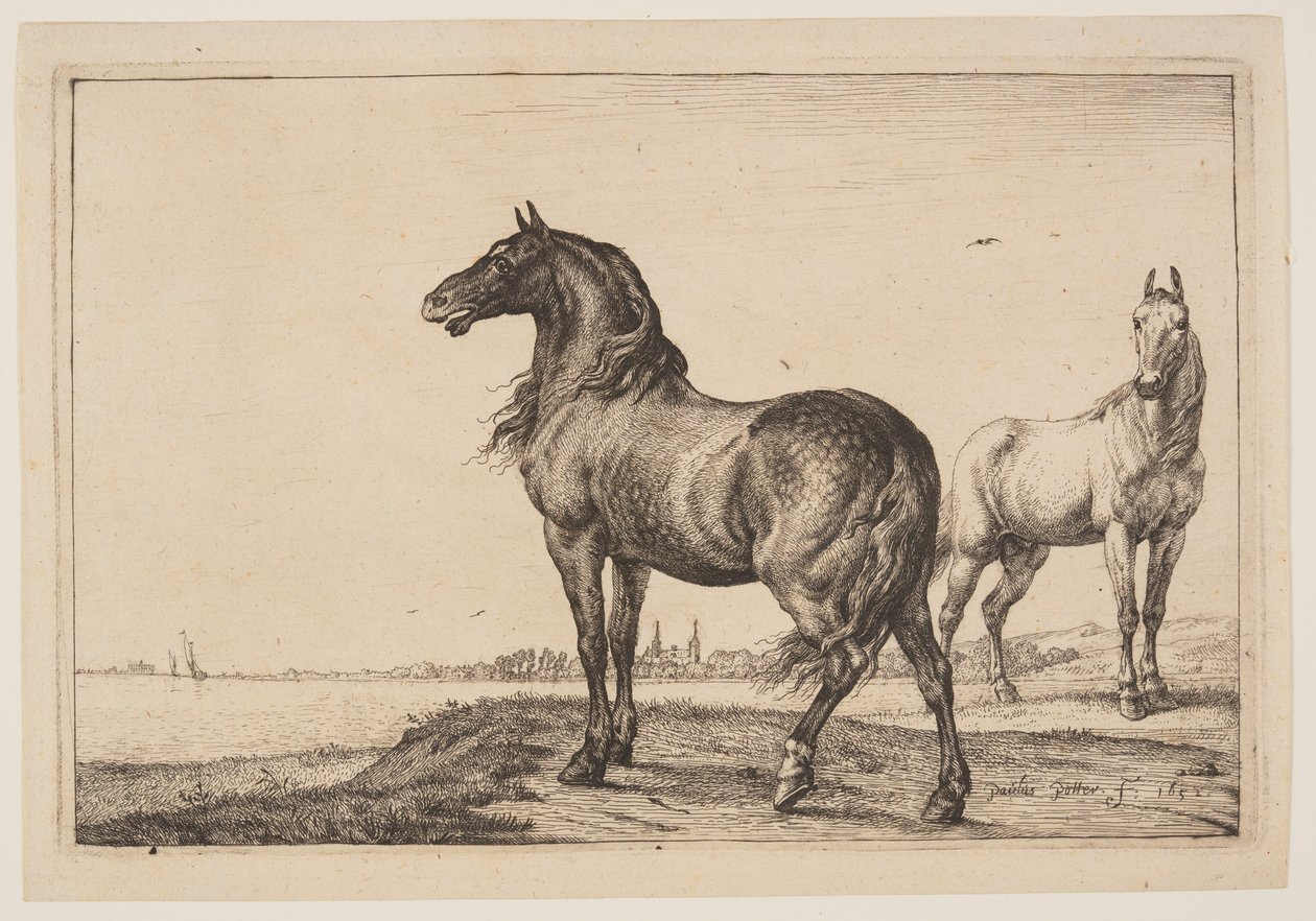 Den beskurna hästen, från Series of Horses av Paulus Potter