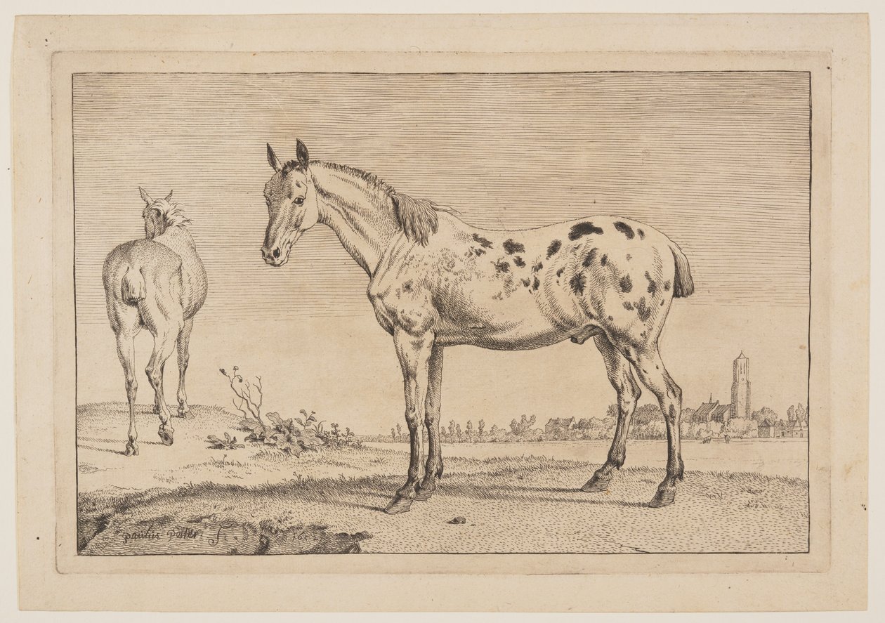 The Neighing Horse, från Serie av hästar av Paulus Potter