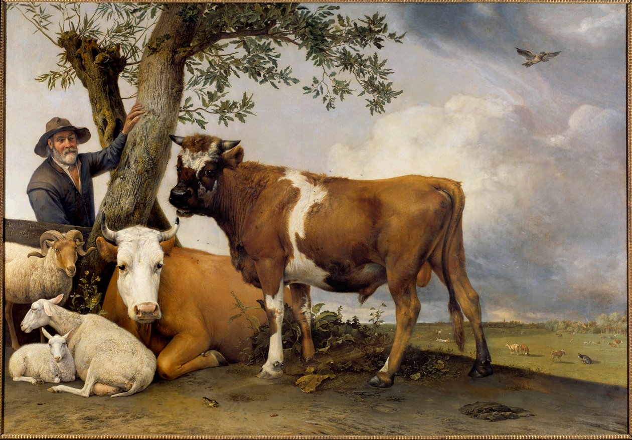 Den unga tjuren En herde och hans boskap, belier, lamm, ko och tjur. Målning av Paul Potter (1625-1654) 1647 Sön. 2,36x3,39 m Haag. Mauritshuis av Paulus Potter