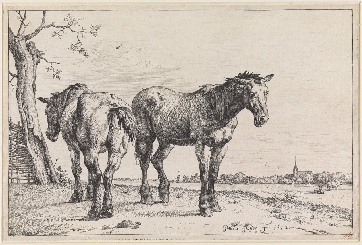 Två ploghästar av Paulus Potter