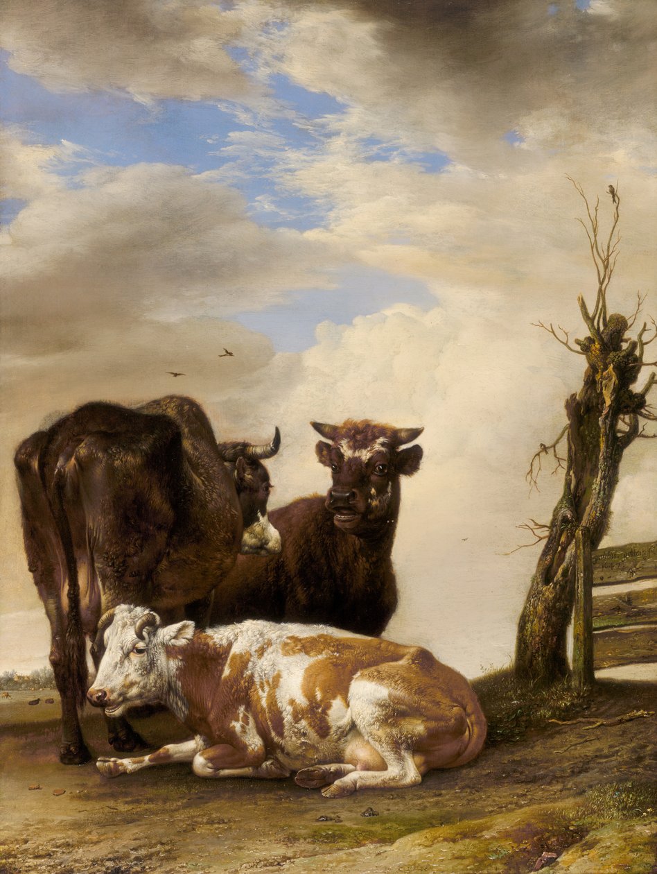 Två kor och en ung tjur bredvid ett staket på en äng, 1647. av Paulus Potter