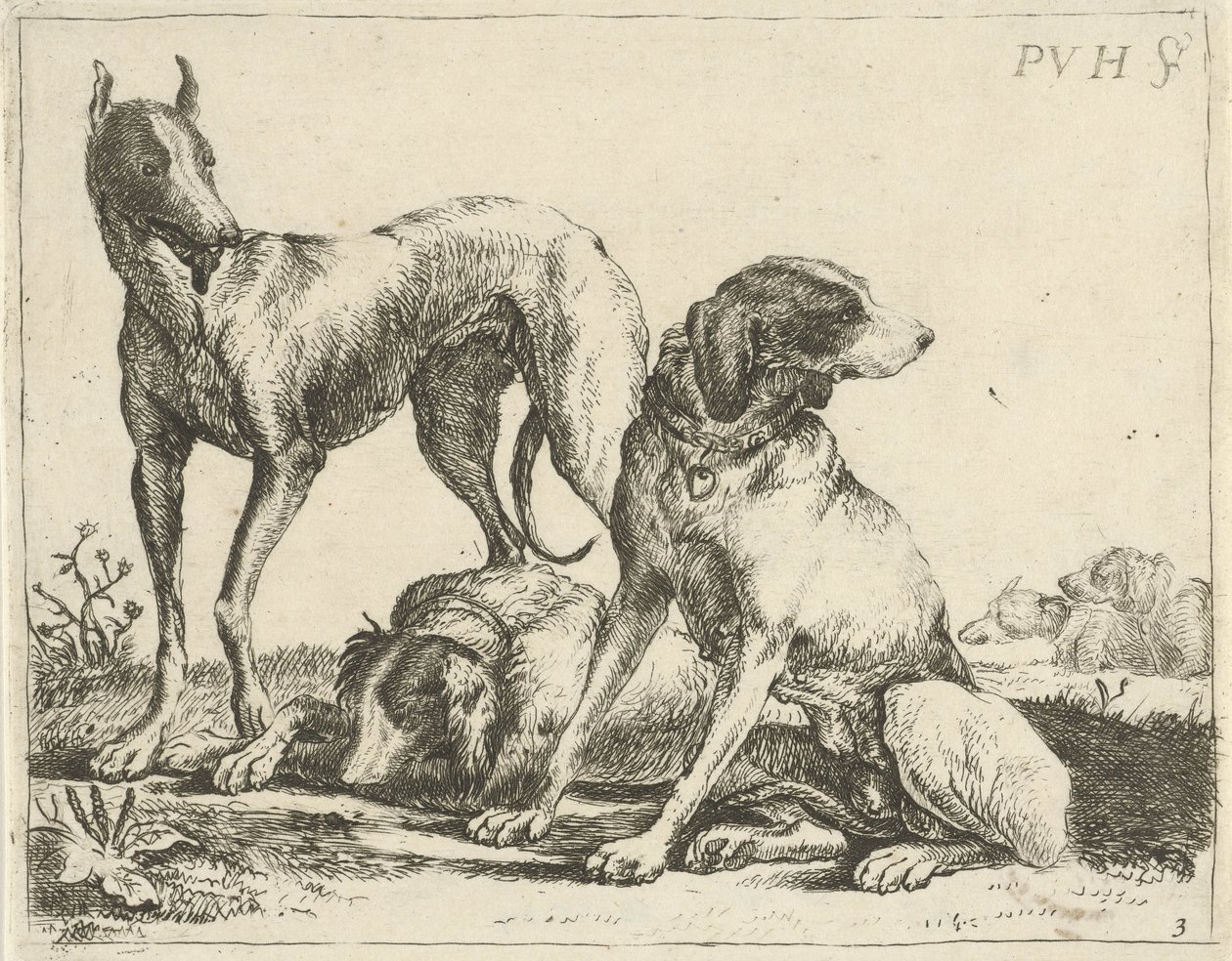 Tre hundar Olika hundar (serietitel) av Pauwels van Hillegaert