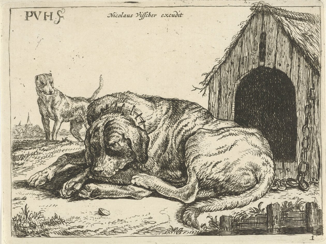 swedish av Pauwels van Hillegaert