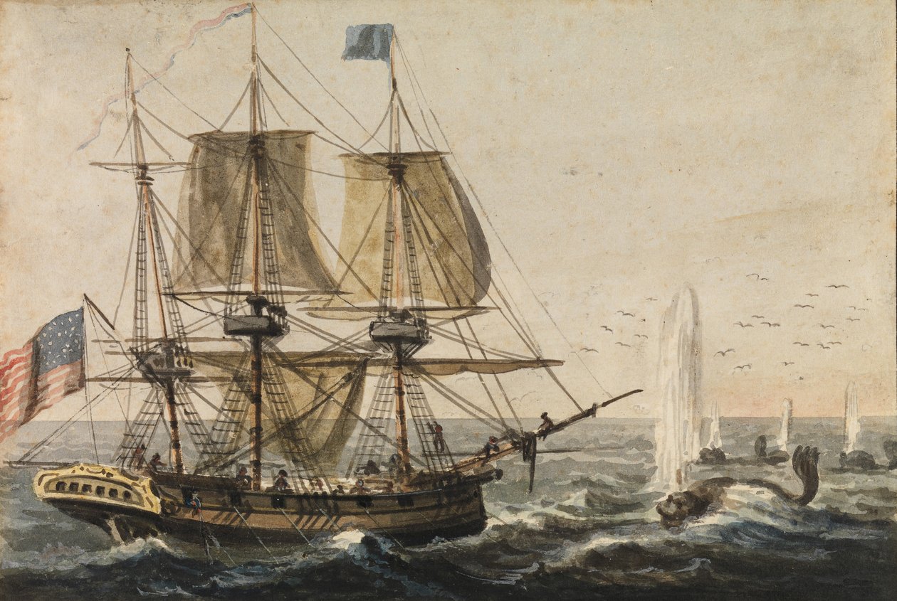 Fyller på skeppets skafferi med torsk utanför Newfoundlandkusten, 1811-ca. 1813. av Pavel Petrovic Svin