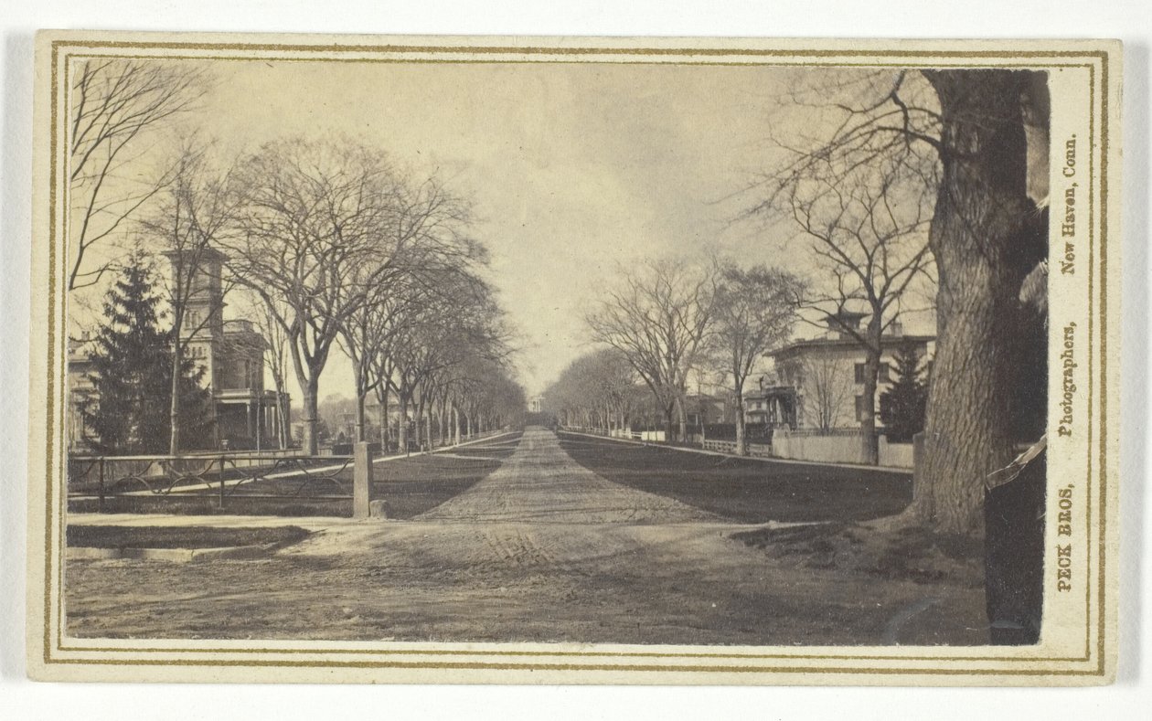 Hillhouse Avenue av Peck Brothers