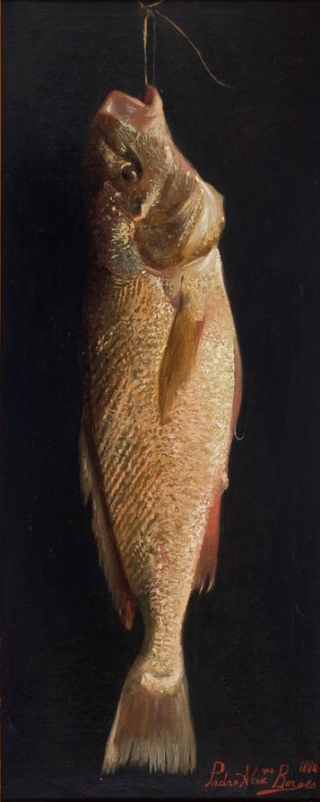  FishnPortugues: Peixen av Pedro Alexandrino Borges