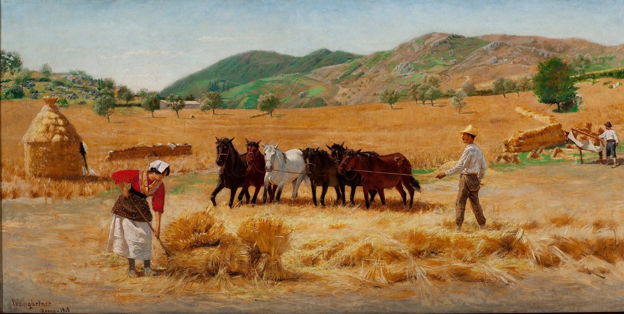 Harvest in Anticoli av Pedro Weingärtner