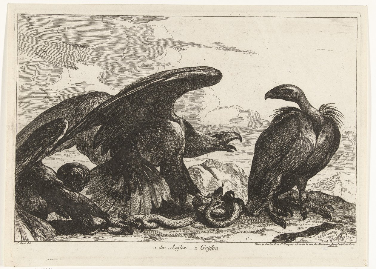 Gam och en örn med orm 1. des Aigles 2. Griffon (titel på objekt) Fåglar från menageriet i Versailles (serietitel) av Peeter Boel (attributed to)