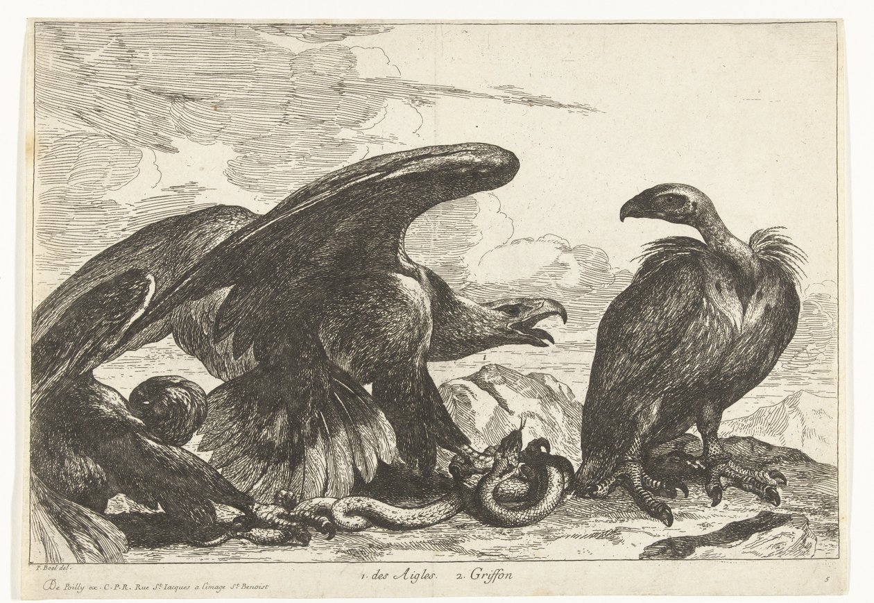 Gam och en örn med orm 1. des Aigles 2. Griffon (titel på objekt) Fåglar från menageriet i Versailles (serietitel) av Peeter Boel (attributed to)