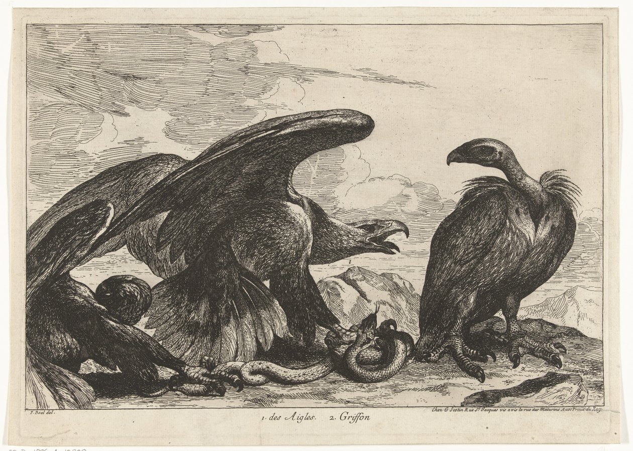 Gam och en örn med orm 1. des Aigles 2. Griffon (titel på objekt) Fåglar från menageriet i Versailles (serietitel) av Peeter Boel (attributed to)