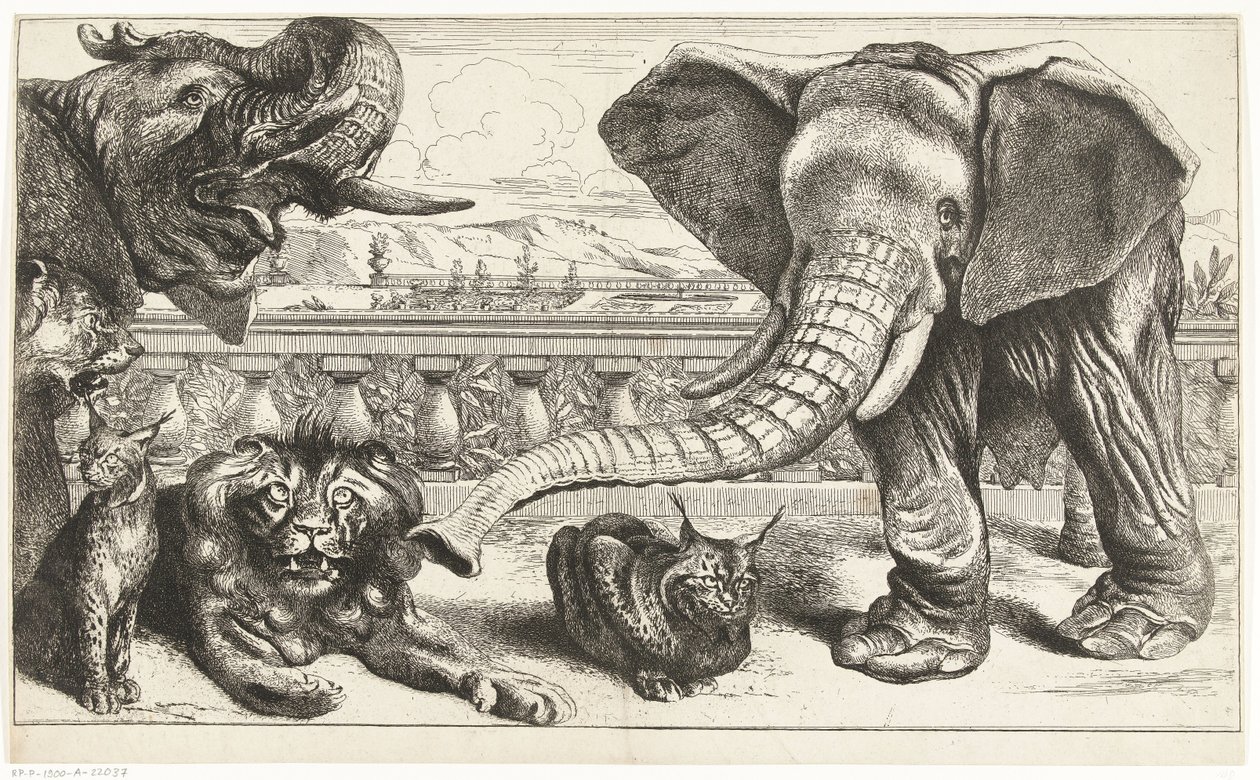 Elefanter, lejon och lodjur i Versailles trädgårdar av Peeter Boel (attributed to)