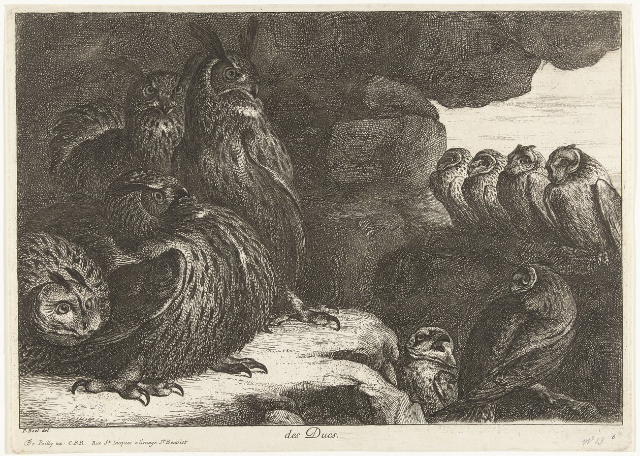 Ugglor i en grotta des Ducs (titel på objekt) Fåglar från menageriet i Versailles (serietitel) av Peeter Boel (attributed to)