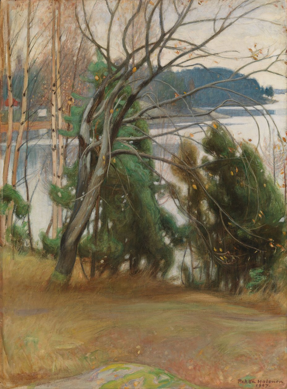 Sälg på hösten av Pekka Halonen