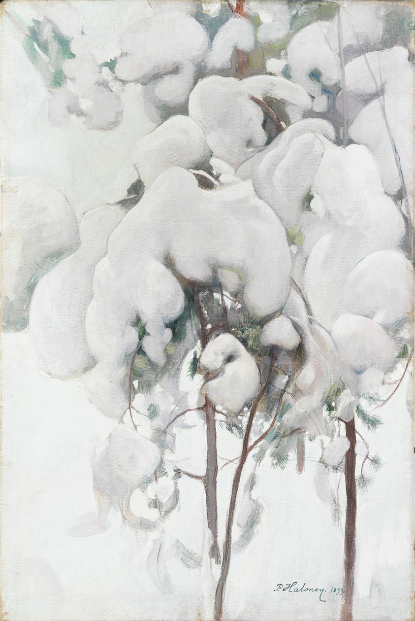 Snötäckta tallplantor av Pekka Halonen