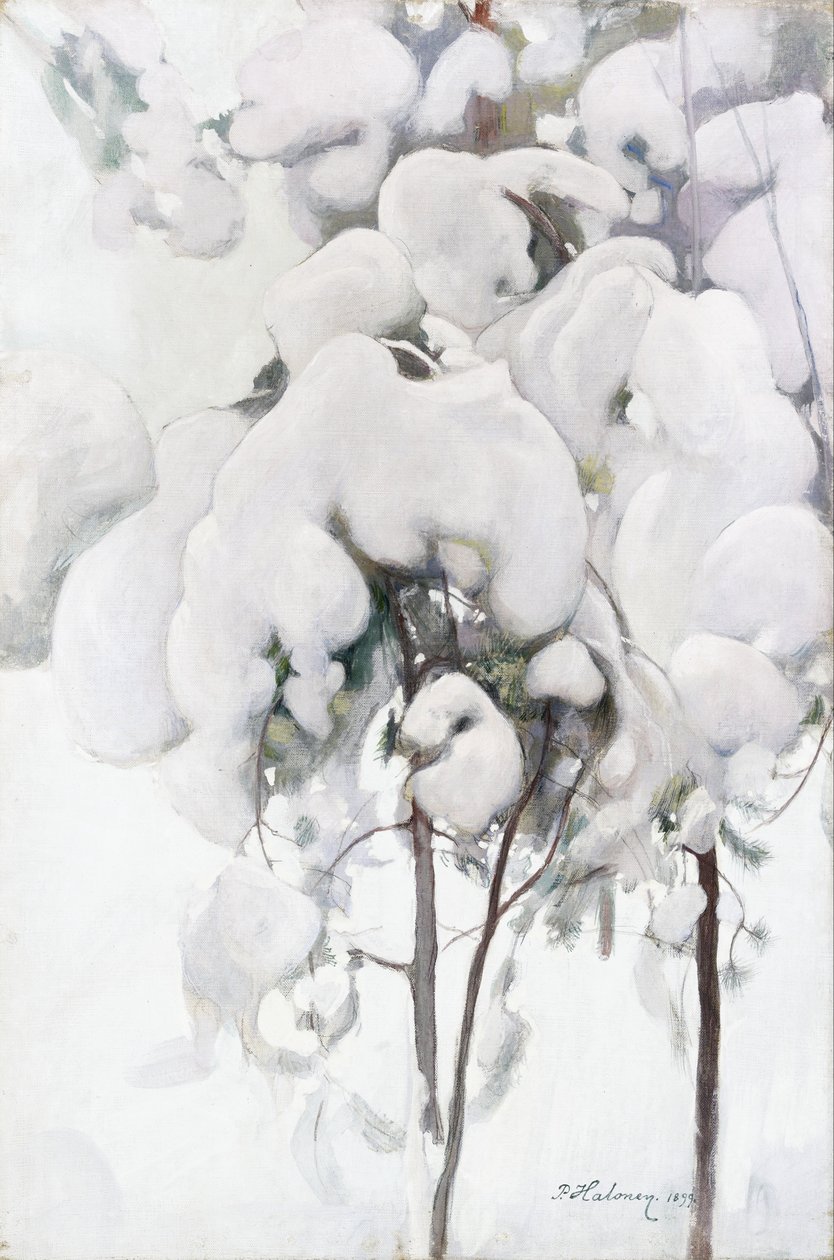 Snötäckta tallplantor av Pekka Halonen