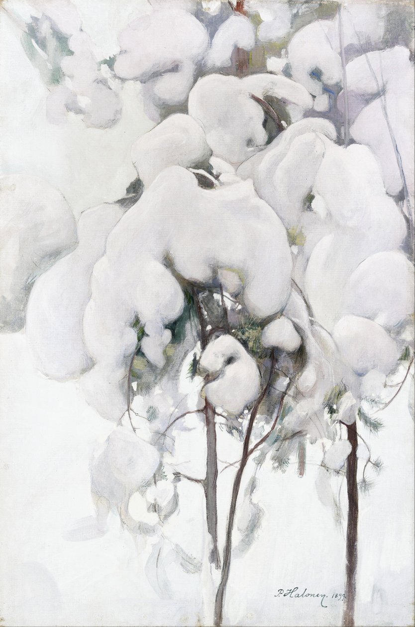 Snötäckta tallplantor av Pekka Halonen