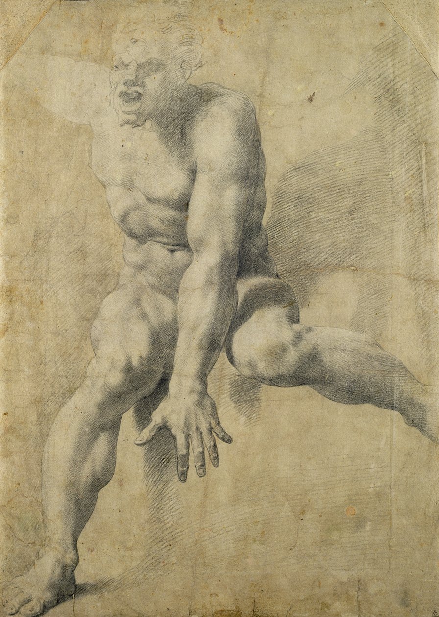 Polyphemus (svart krita på papper) av Pellegrino Tibaldi