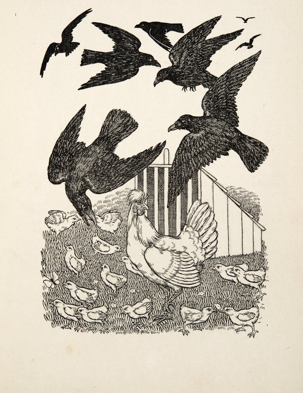 En beräknande kråka, från Hundra anekdoter av djur, pub. 1924 av Percy J. Billingshurst