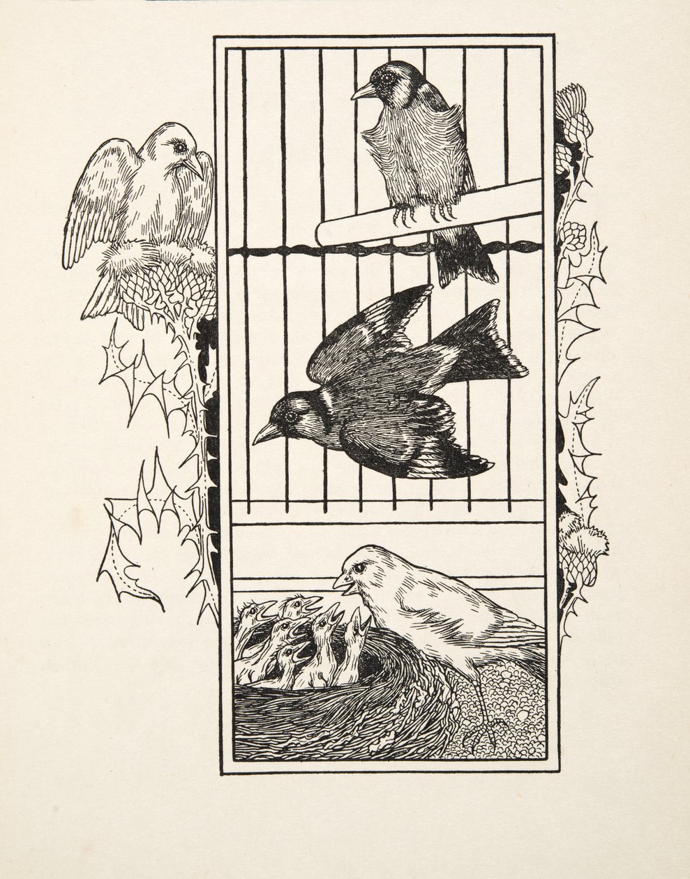 En välgörande kanariefågel, från A Hundred Anecdotes of Animals, pub. 1924 av Percy J. Billingshurst
