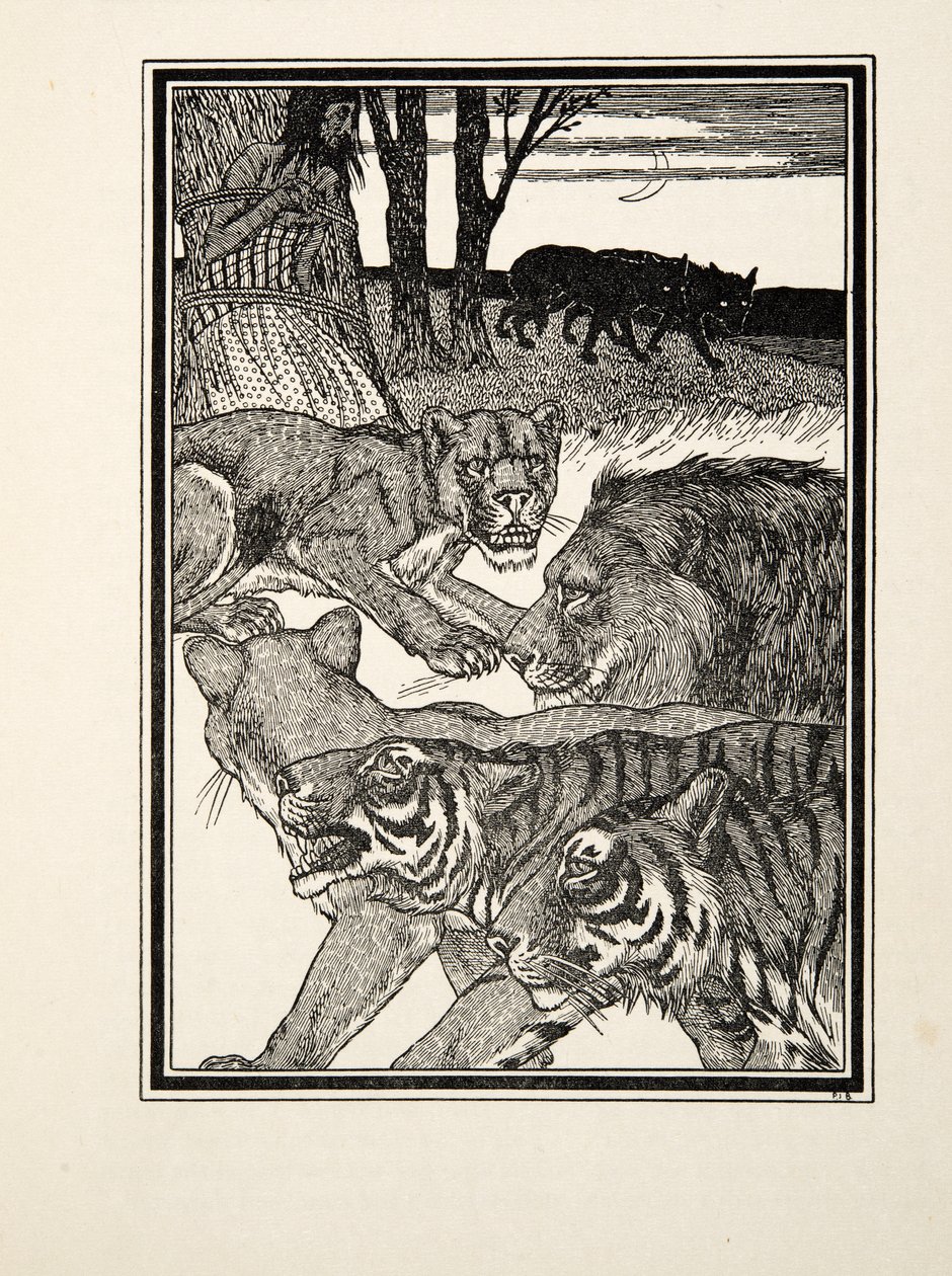 En tacksam lejoninna, från Hundra anekdoter av djur, pub. 1924 (gravyr) av Percy J. Billingshurst
