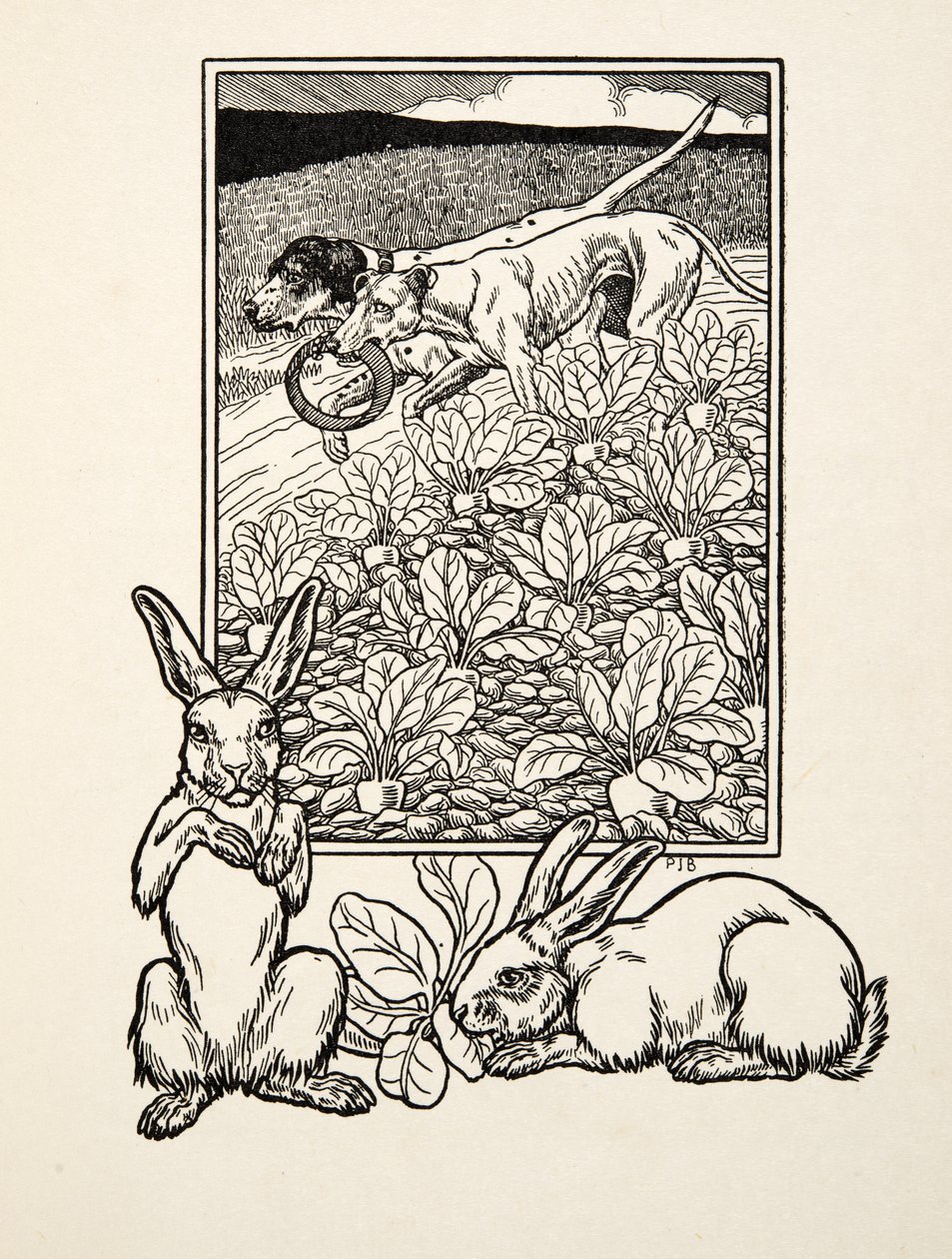 Ett lurigt par, från Hundra anekdoter av djur, pub. 1924 av Percy J. Billingshurst