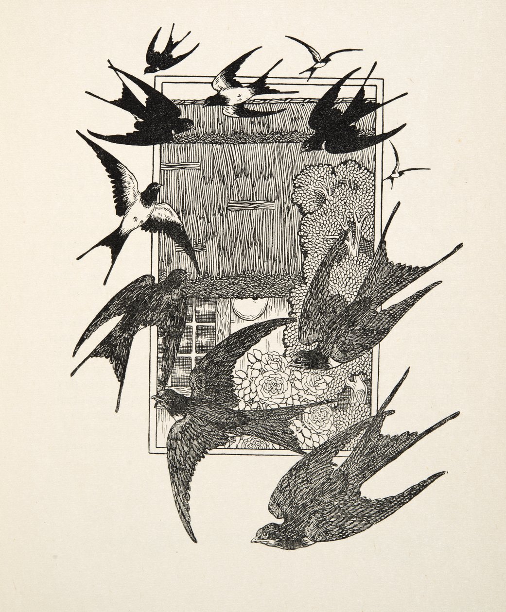 En usurperare straffad, från A Hundred Anecdotes of Animals, pub. 1924 av Percy J. Billingshurst