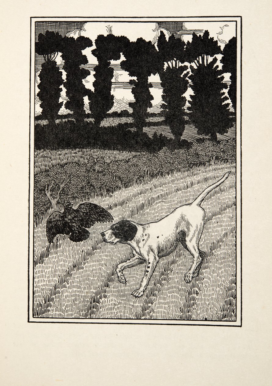 Deceiving the Fowler, från A Hundred Anecdotes of Animals, pub. 1924 av Percy J. Billingshurst