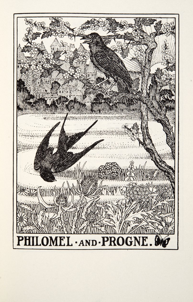 Philomel och Progne, från Fontaine Fables, pub. 1905 av Percy J. Billingshurst