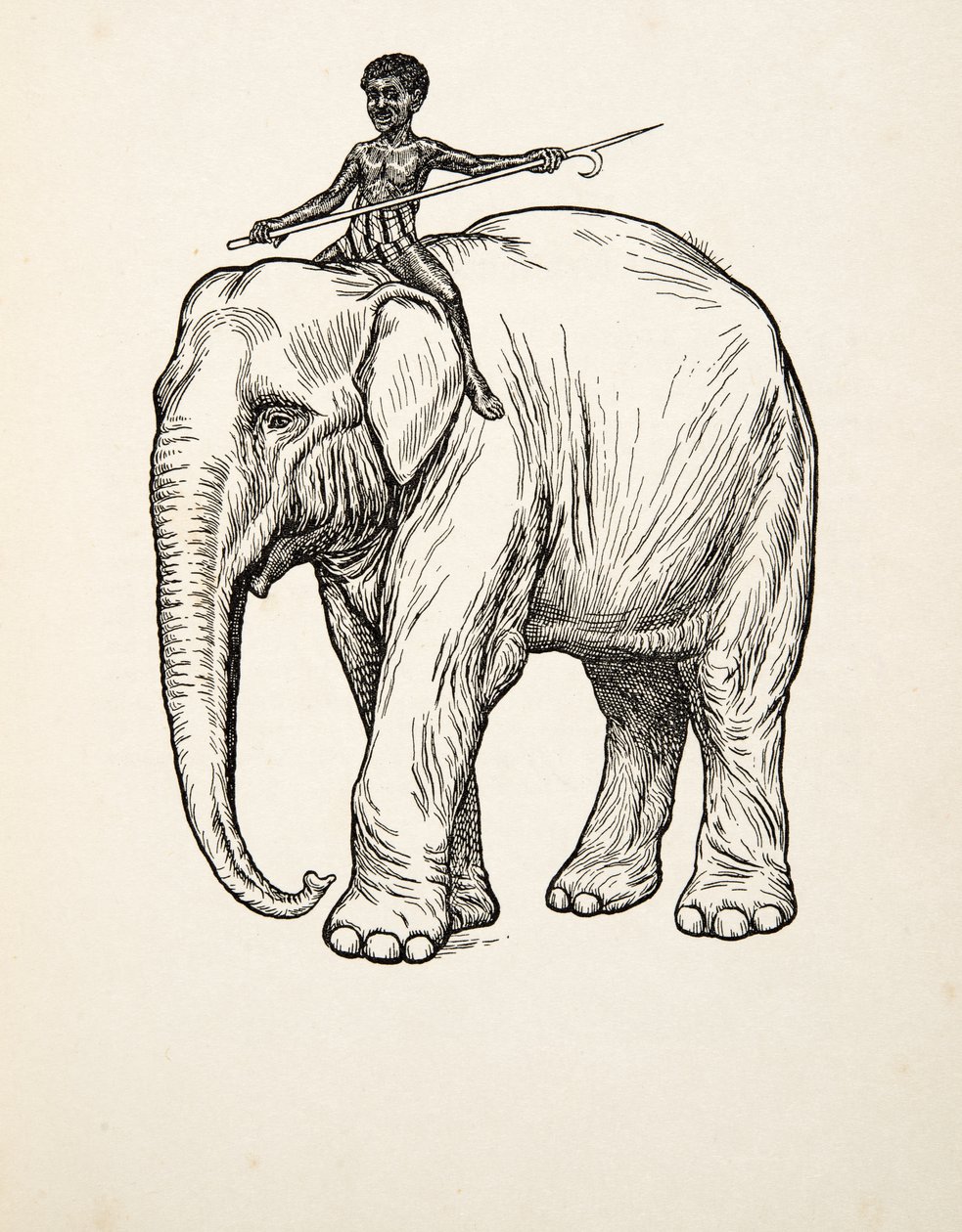 Ånger, från Hundra anekdoter av djur, pub. 1924 av Percy J. Billingshurst