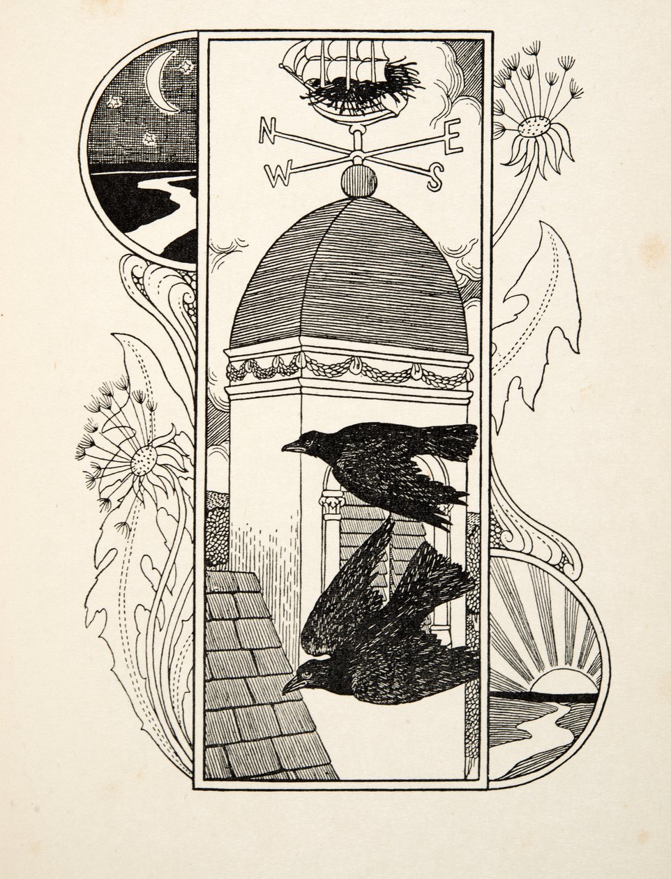 Strange Rooks, från A Hundred Anecdotes of Animals, pub. 1924 av Percy J. Billingshurst