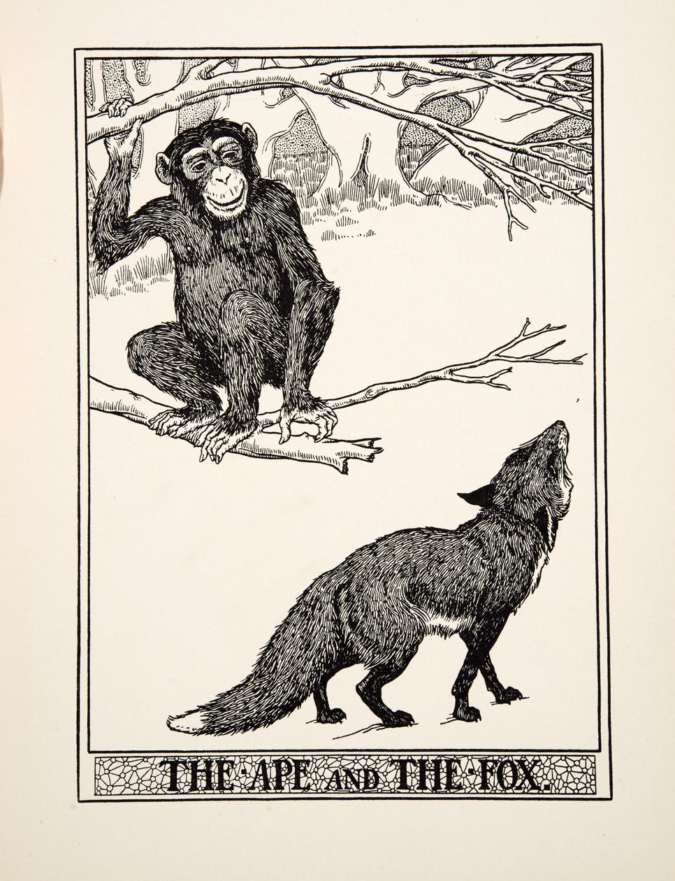 Apen och räven, från Aesops hundra fabler, pub.1903 (gravyr) av Percy J. Billingshurst