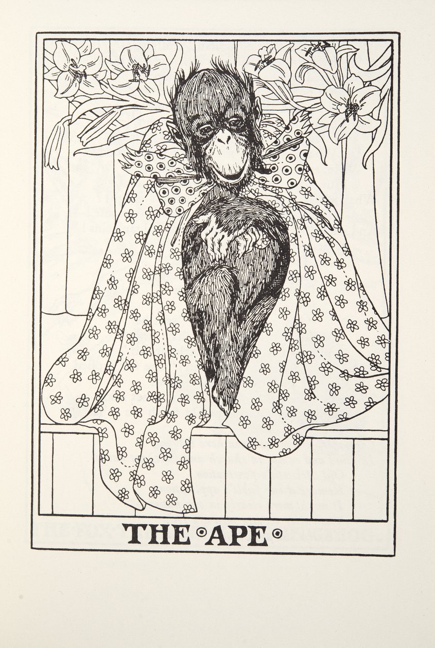 The Ape, från Fontaine Fables, pub. 1905 av Percy J. Billingshurst