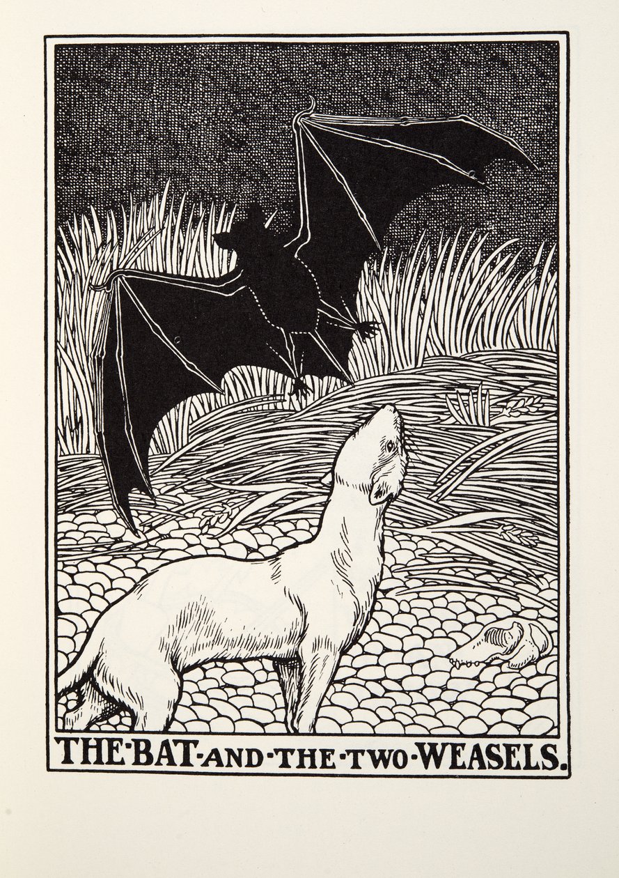 Fladdermusen och de två vesslorna, från Fontaine Fables, pub. 1905 av Percy J. Billingshurst