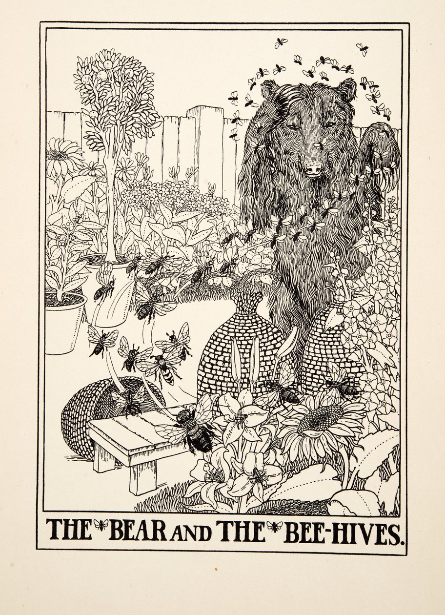 The Bear and the Beehives, från A Hundred Fables of Aesop, pub.1903 (gravyr) av Percy J. Billingshurst